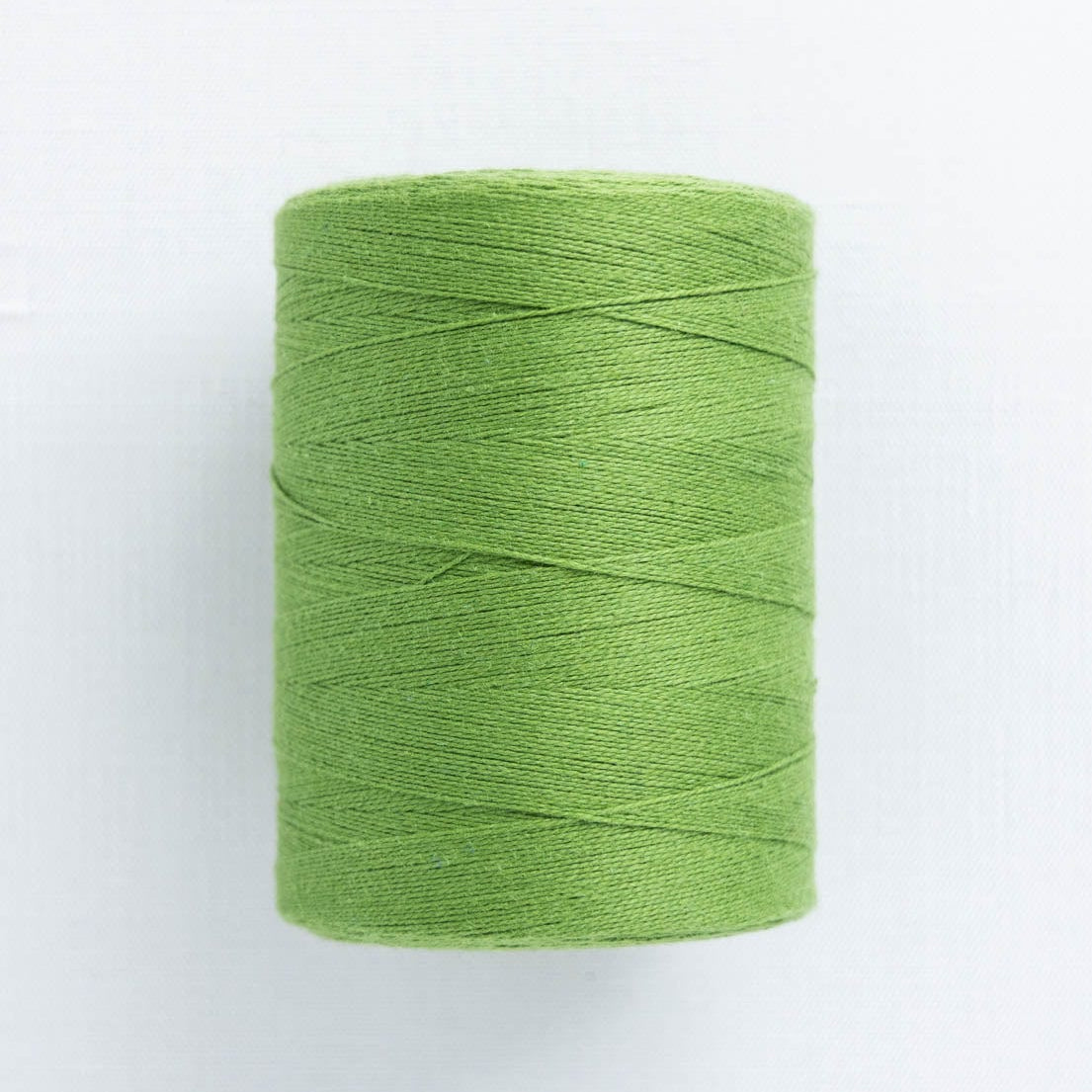 Maurice Brassard & Fils Inc. Weaving Yarn Limette Maurice Brassard 8/2 Cotton