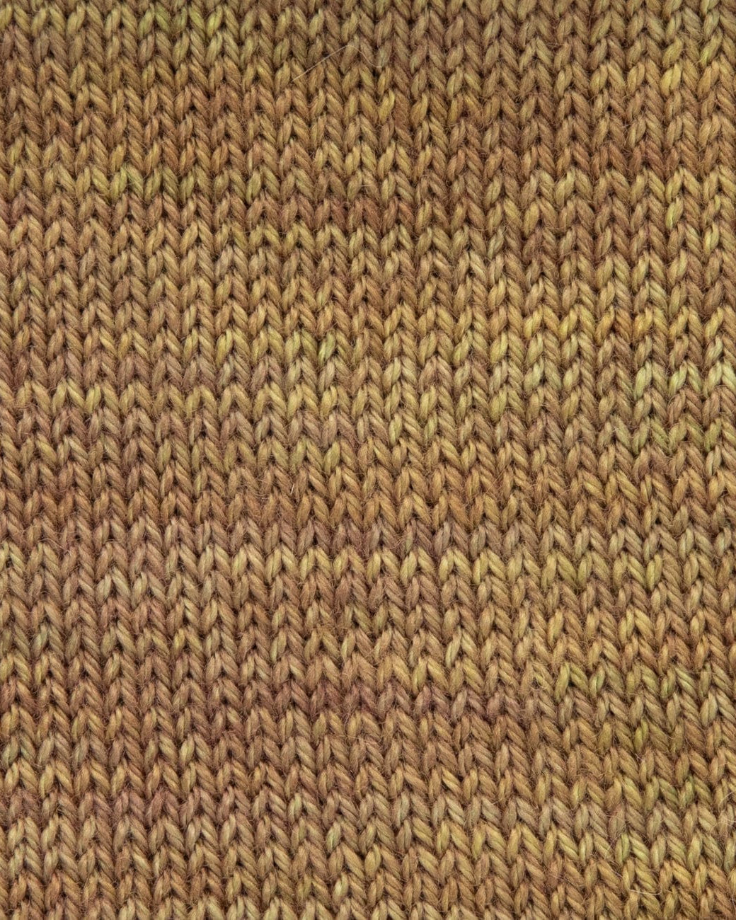 SweetGeorgia Yarns DK Yarns Boreal Forest Flaxen Silk DK