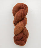 SweetGeorgia Yarns DK Yarns Bright Penny BFL+Silk DK