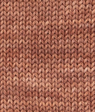 SweetGeorgia Yarns DK Yarns Brown Sugar BFL+Silk DK