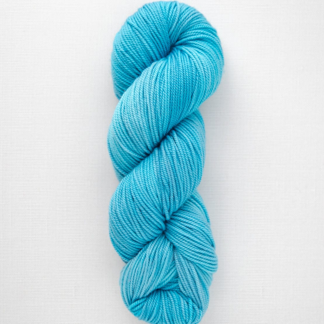 SweetGeorgia Yarns DK Yarns Coastline Superwash DK