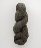 SweetGeorgia Yarns DK Yarns Forest Walk BFL+Silk DK