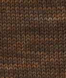 SweetGeorgia Yarns DK Yarns Lichen BFL+Silk DK