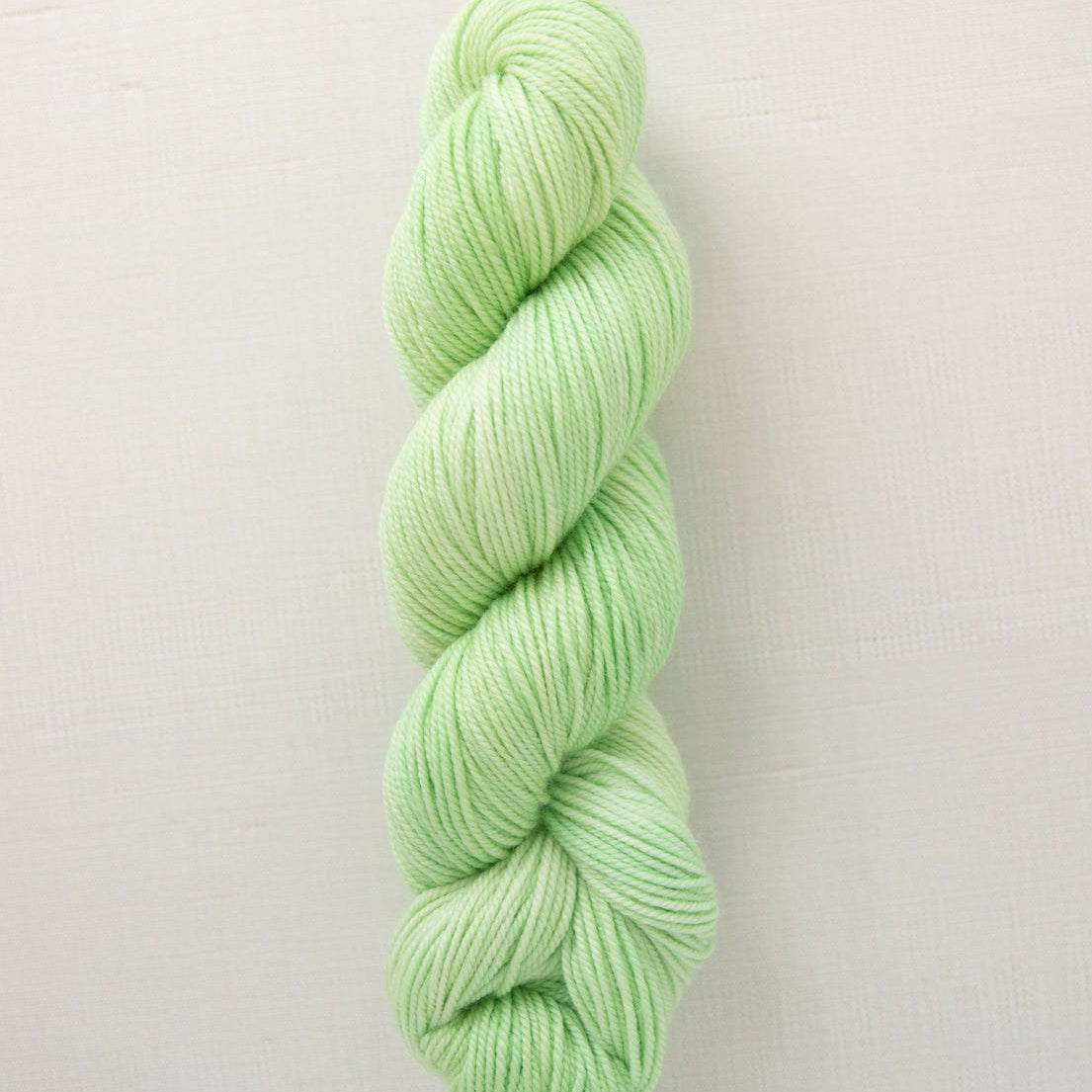 SweetGeorgia Yarns DK Yarns Limeade Superwash DK / Enlighten