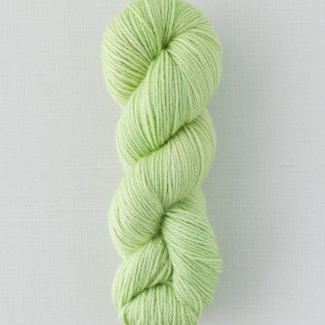 SweetGeorgia Yarns DK Yarns Limeade Trifecta DK / Enlighten