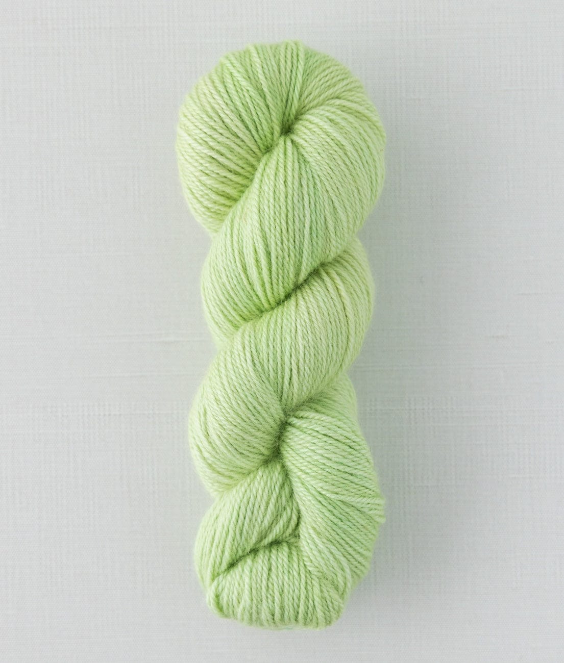 SweetGeorgia Yarns DK Yarns Limeade Trifecta DK / Enlighten