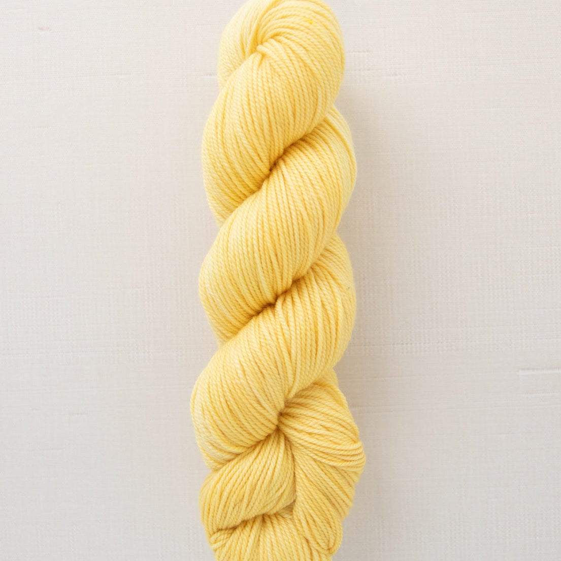 SweetGeorgia Yarns DK Yarns Popcorn Superwash DK / Enlighten