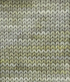 SweetGeorgia Yarns DK Yarns Sage BFL+Silk DK