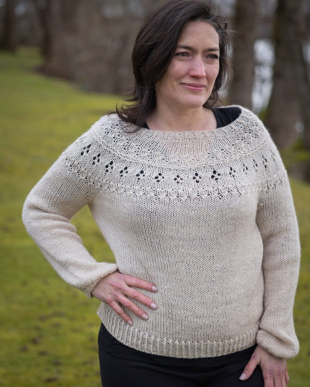 SweetGeorgia Yarns DK Yarns Trifecta DK