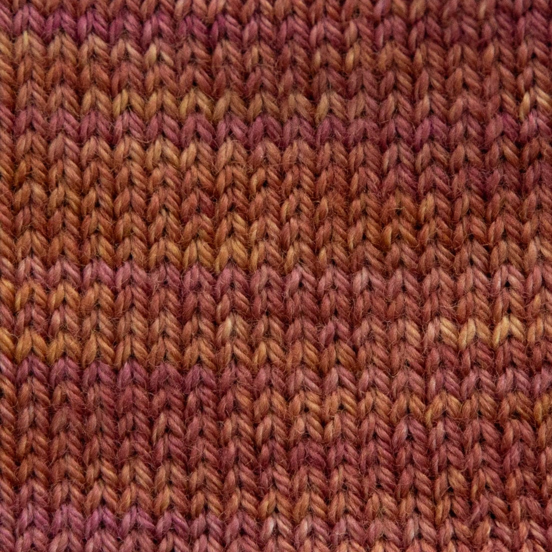 SweetGeorgia Yarns Fingering Yarns Amber Ale Mini-Skein / Tough Love Sock