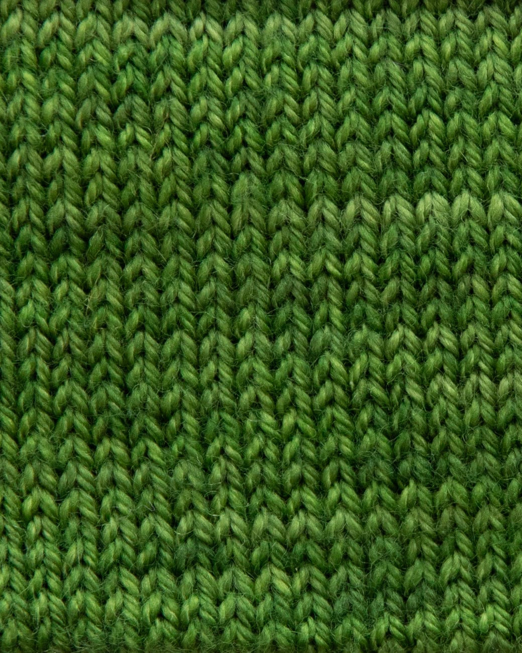 SweetGeorgia Yarns Fingering Yarns Basil Micro-Skein / Tough Love Sock