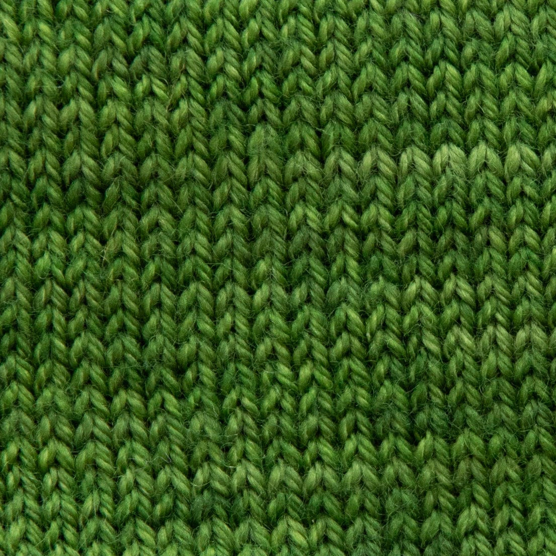 SweetGeorgia Yarns Fingering Yarns Basil Mini-Skein / Tough Love Sock