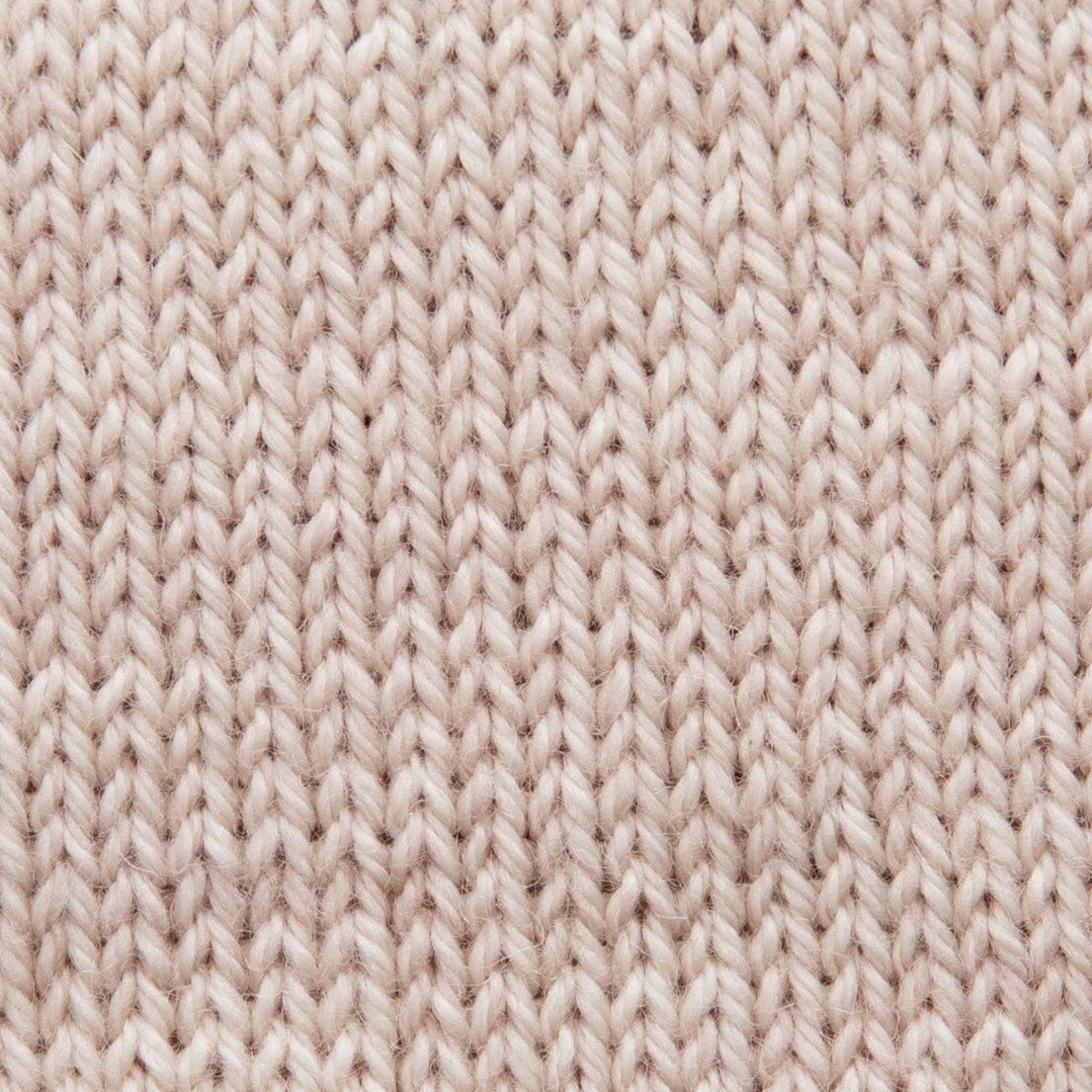 SweetGeorgia Yarns Fingering Yarns Birch Mini-Skein / Tough Love Sock