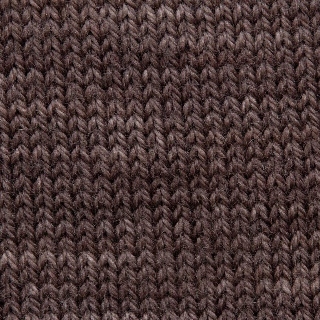 SweetGeorgia Yarns Fingering Yarns Bison Mini-Skein / Tough Love Sock