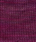 SweetGeorgia Yarns Fingering Yarns Black Raspberry Micro-Skein / Tough Love Sock
