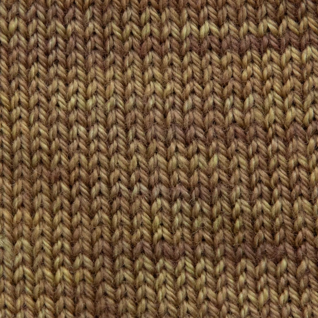 SweetGeorgia Yarns Fingering Yarns Boreal Forest Mini-Skein / Tough Love Sock