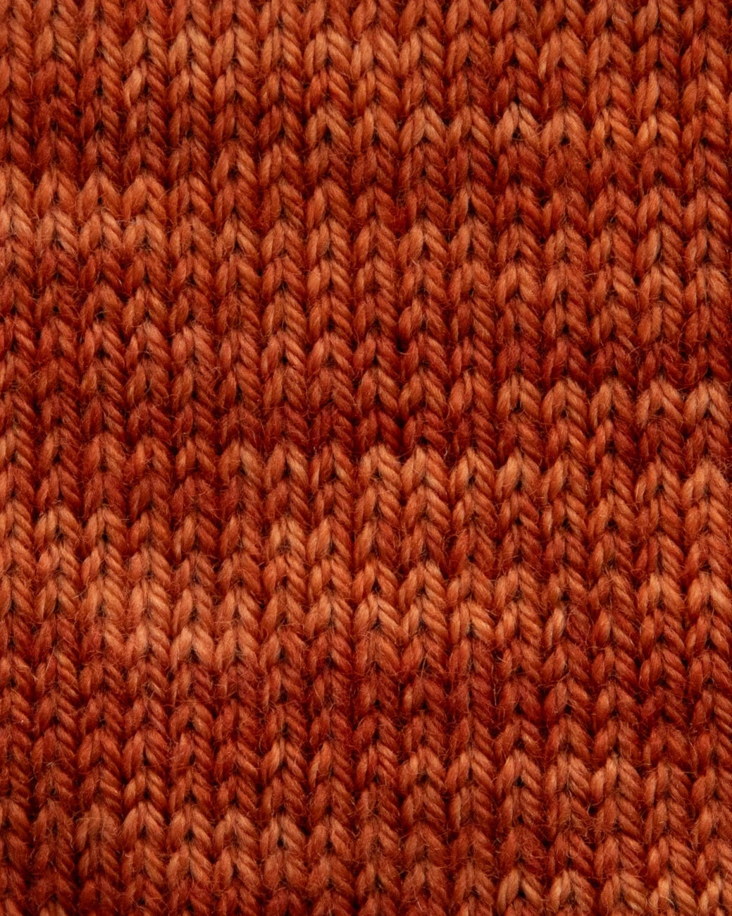 SweetGeorgia Yarns Fingering Yarns Cider Micro-Skein / Tough Love Sock