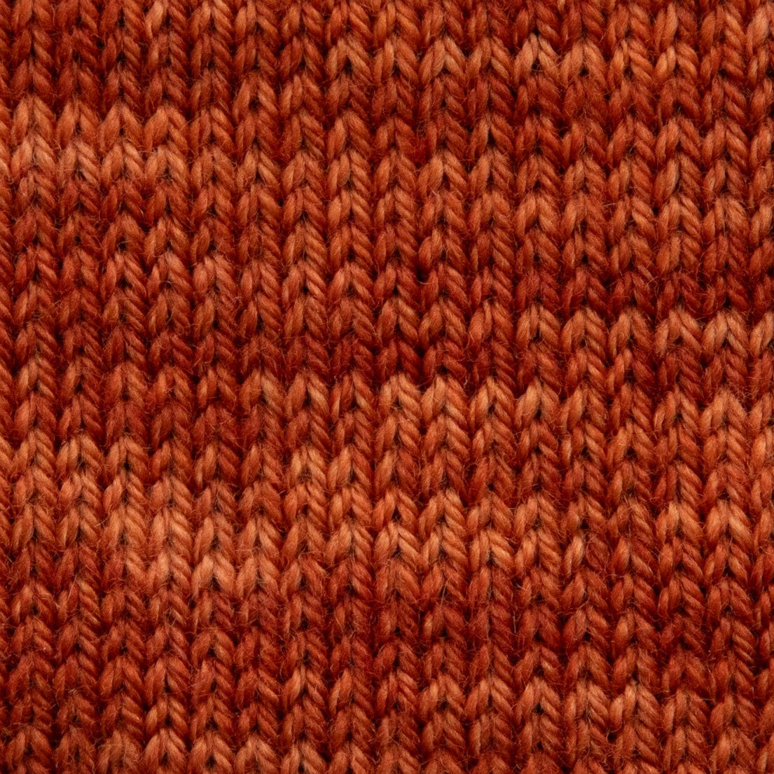 SweetGeorgia Yarns Fingering Yarns Cider Mini-Skein / Tough Love Sock