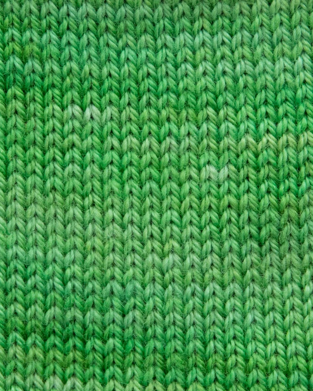 SweetGeorgia Yarns Fingering Yarns Cilantro Micro-Skein / Tough Love Sock