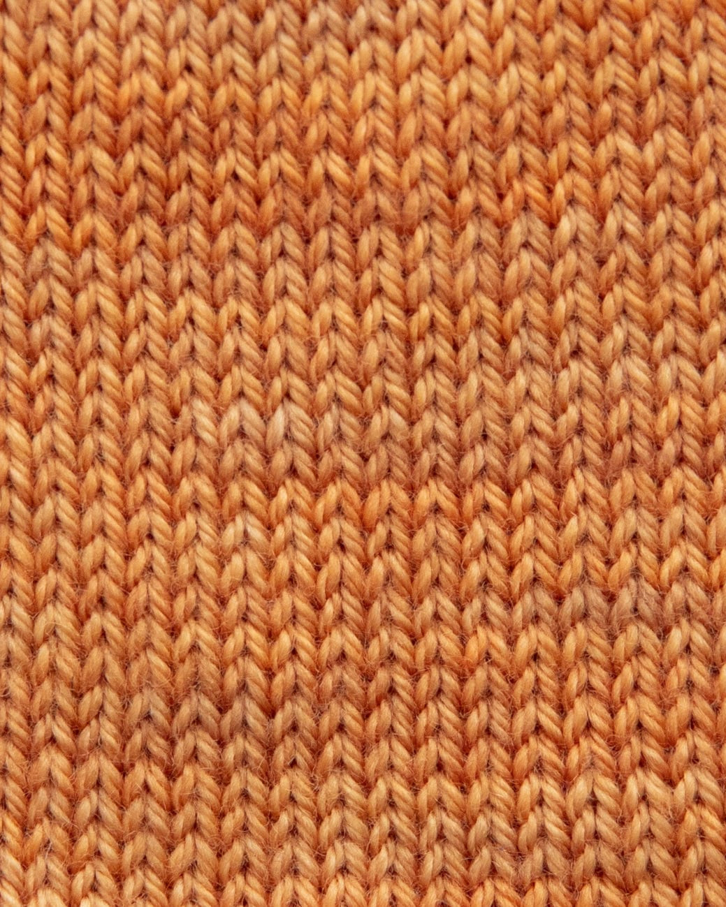 SweetGeorgia Yarns Fingering Yarns Endless Summer Micro-Skein / Tough Love Sock
