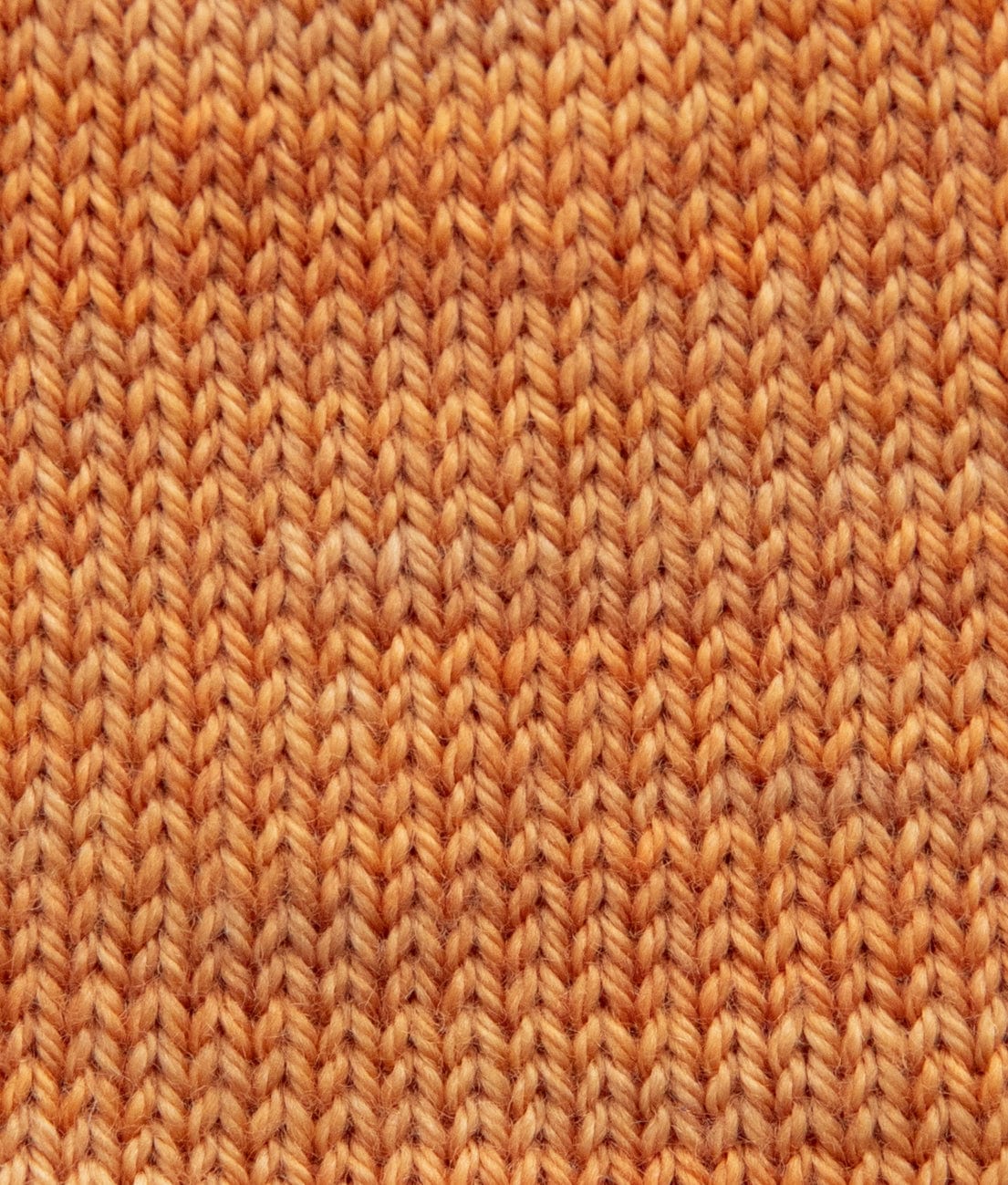 SweetGeorgia Yarns Fingering Yarns Endless Summer Micro-Skein / Tough Love Sock