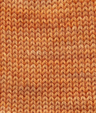 SweetGeorgia Yarns Fingering Yarns Endless Summer Micro-Skein / Tough Love Sock