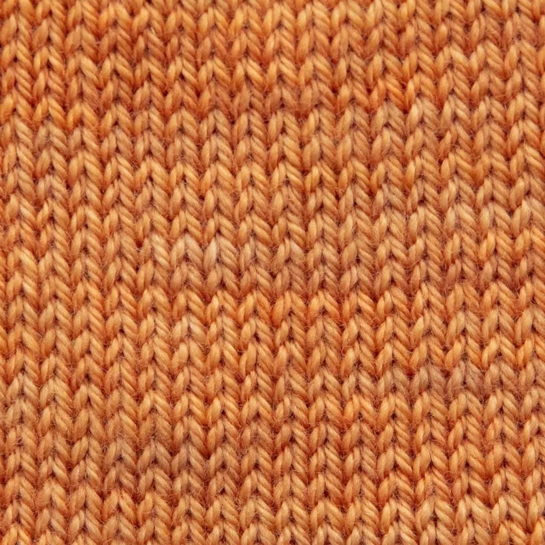 SweetGeorgia Yarns Fingering Yarns Endless Summer Mini-Skein / Tough Love Sock