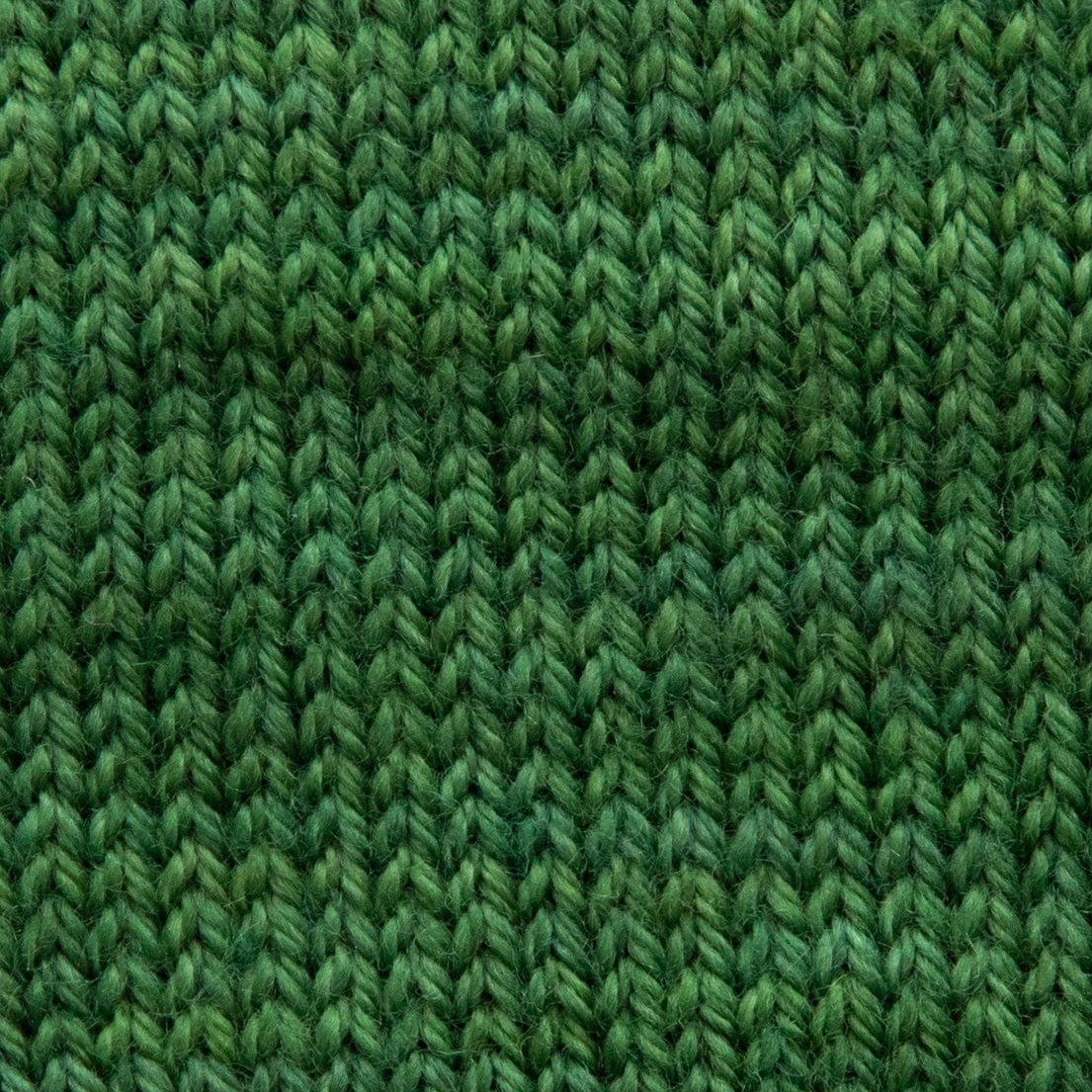 SweetGeorgia Yarns Fingering Yarns Fern Micro-Skein / Tough Love Sock