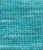 SweetGeorgia Yarns Fingering Yarns Glacier Micro-Skein / Tough Love Sock