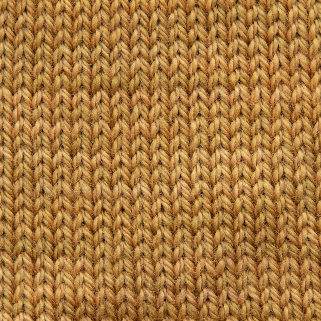 SweetGeorgia Yarns Fingering Yarns Golden Hour Mini-Skein / Tough Love Sock