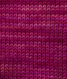 SweetGeorgia Yarns Fingering Yarns Jam Session Micro-Skein / Tough Love Sock