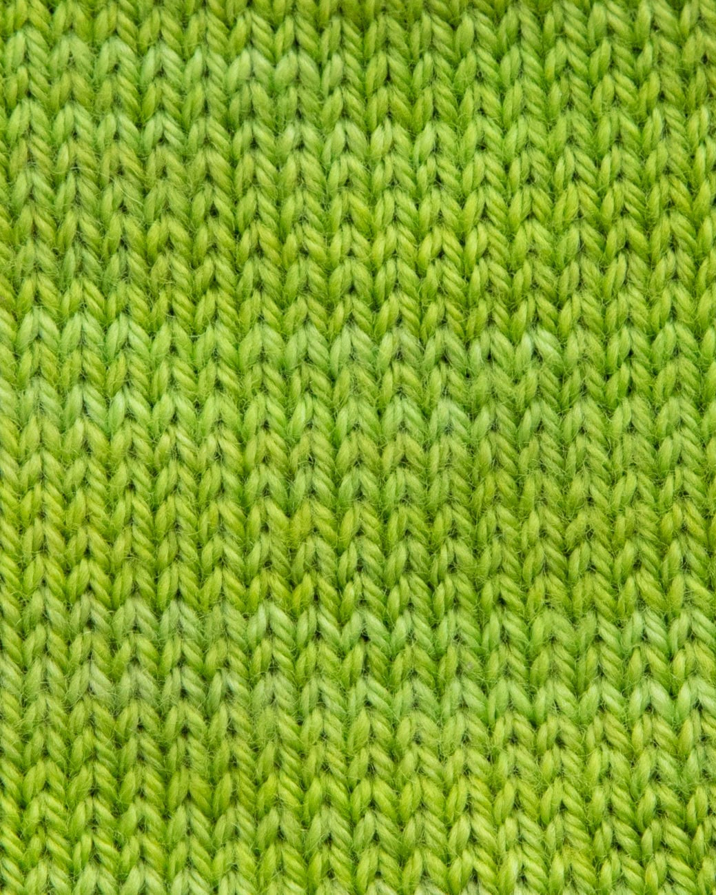 SweetGeorgia Yarns Fingering Yarns Lime Micro-Skein / Tough Love Sock