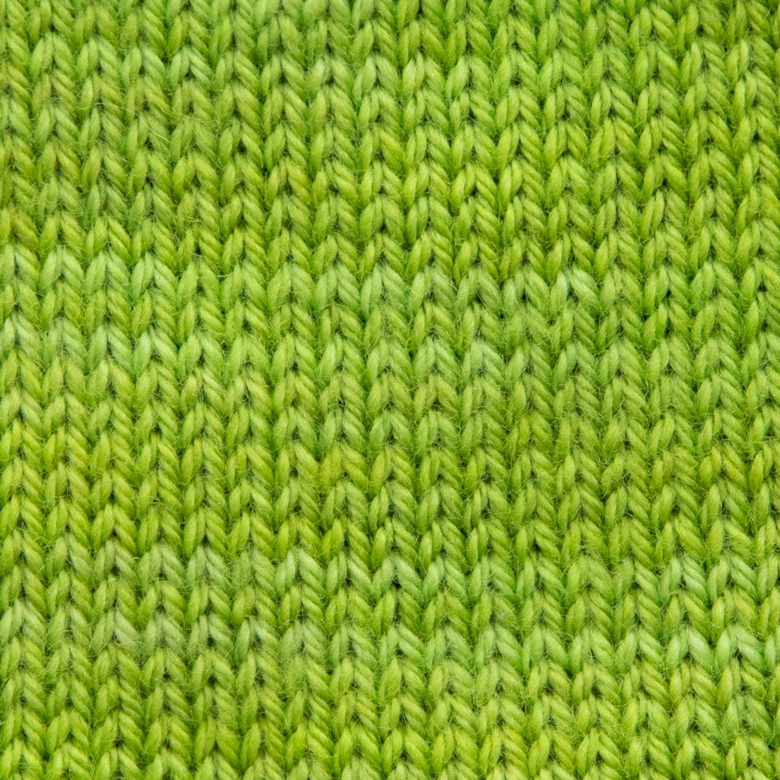SweetGeorgia Yarns Fingering Yarns Lime Mini-Skein / Tough Love Sock