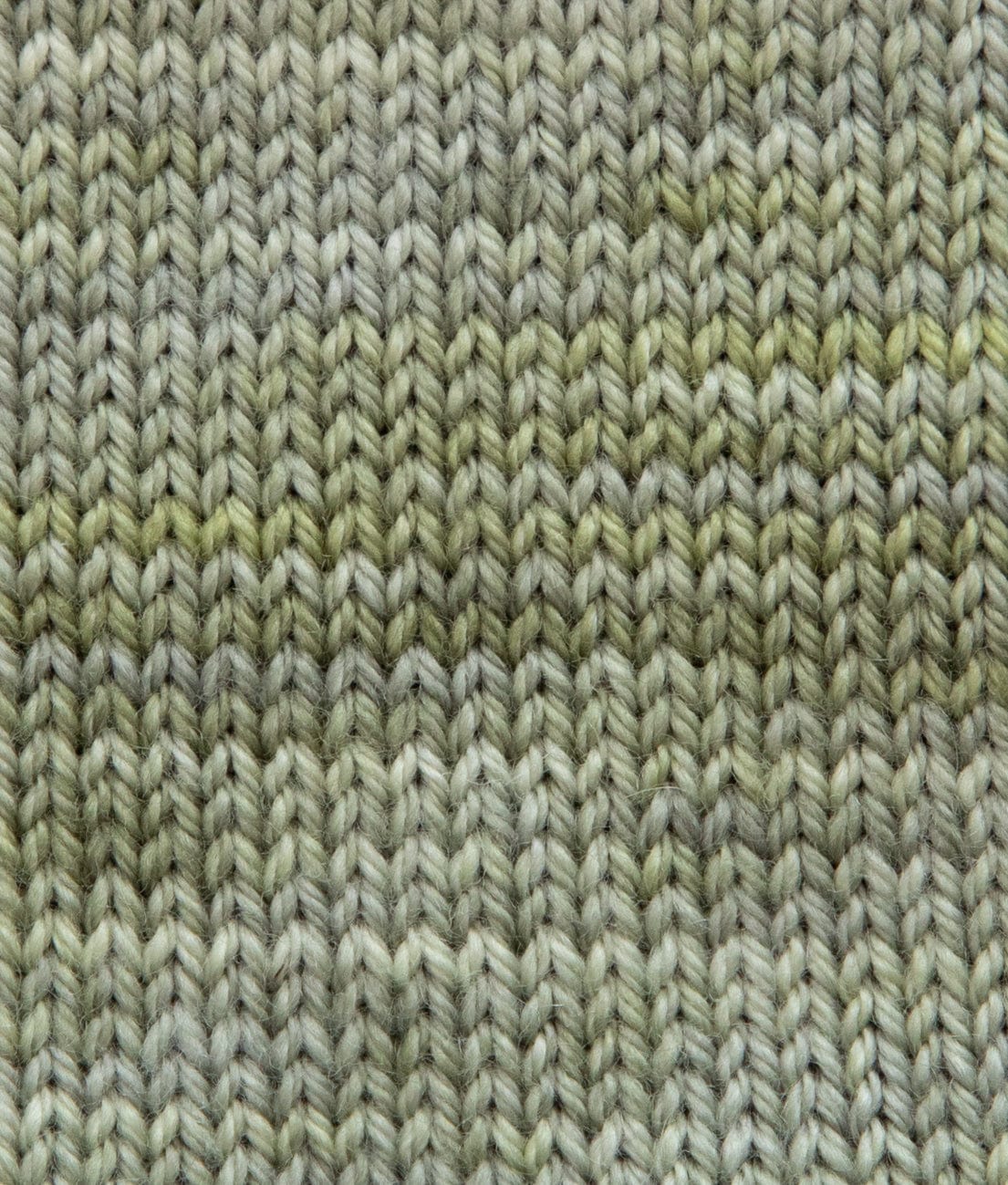 SweetGeorgia Yarns Fingering Yarns Sage Micro-Skein / Tough Love Sock