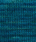 SweetGeorgia Yarns Fingering Yarns Sea Spray Micro-Skein / Tough Love Sock