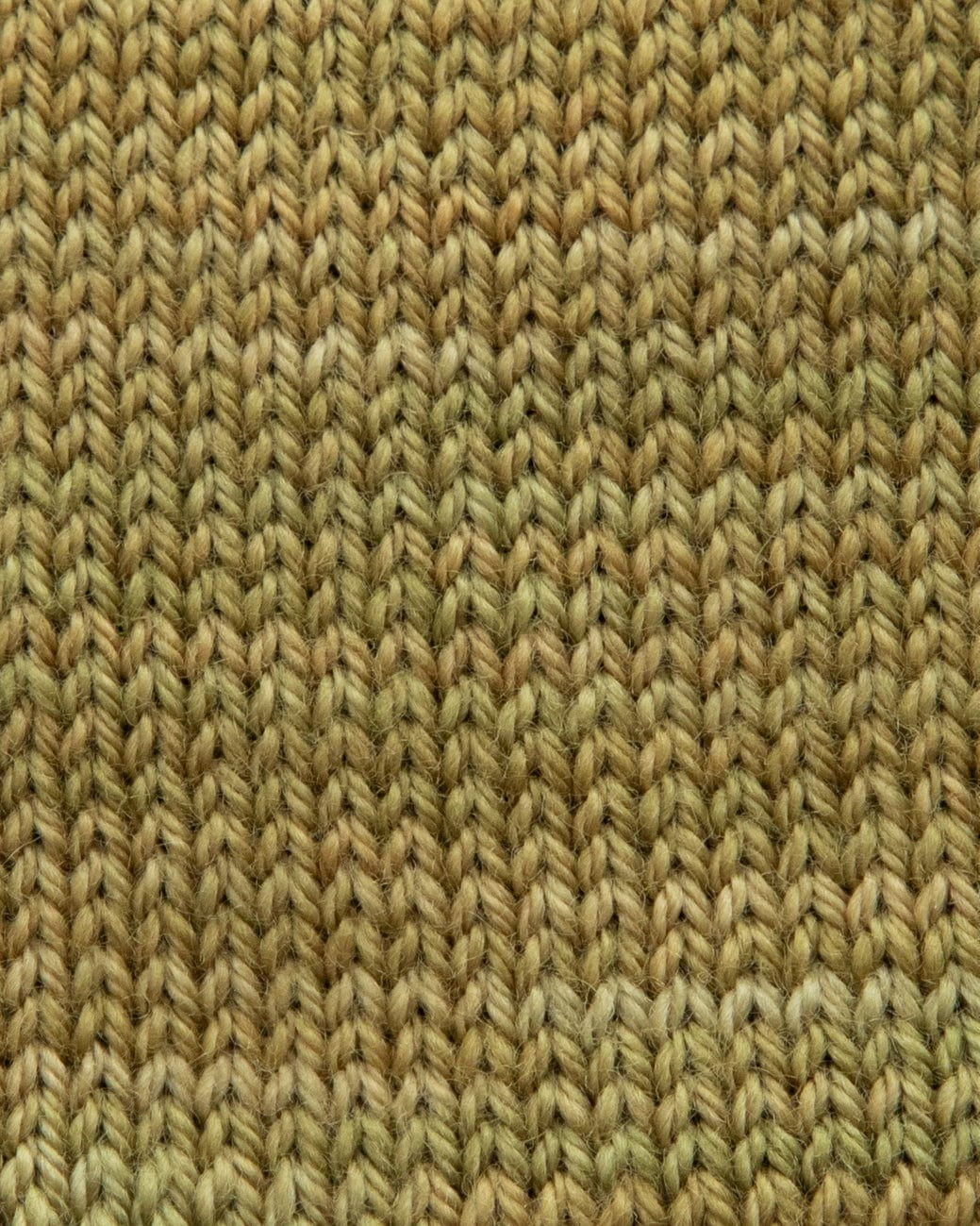 SweetGeorgia Yarns Fingering Yarns Seagrass Micro-Skein / Tough Love Sock