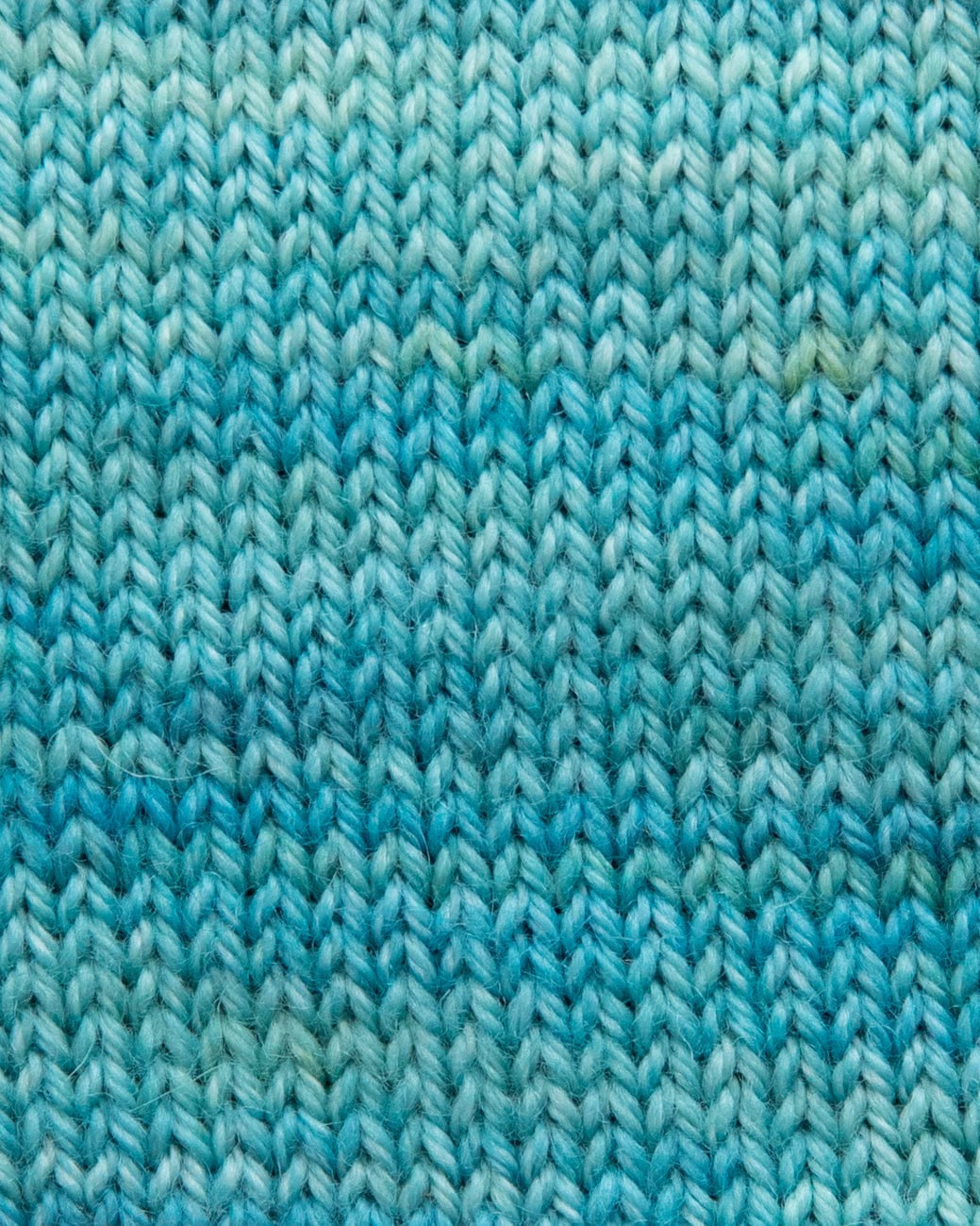 SweetGeorgia Yarns Fingering Yarns Shoreline Micro-Skein / Tough Love Sock