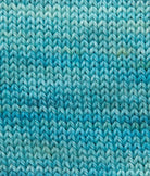 SweetGeorgia Yarns Fingering Yarns Shoreline Micro-Skein / Tough Love Sock