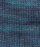 SweetGeorgia Yarns Fingering Yarns Stormy Night Micro-Skein / Tough Love Sock