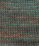 SweetGeorgia Yarns Fingering Yarns Winter Haven Micro-Skein / Tough Love Sock