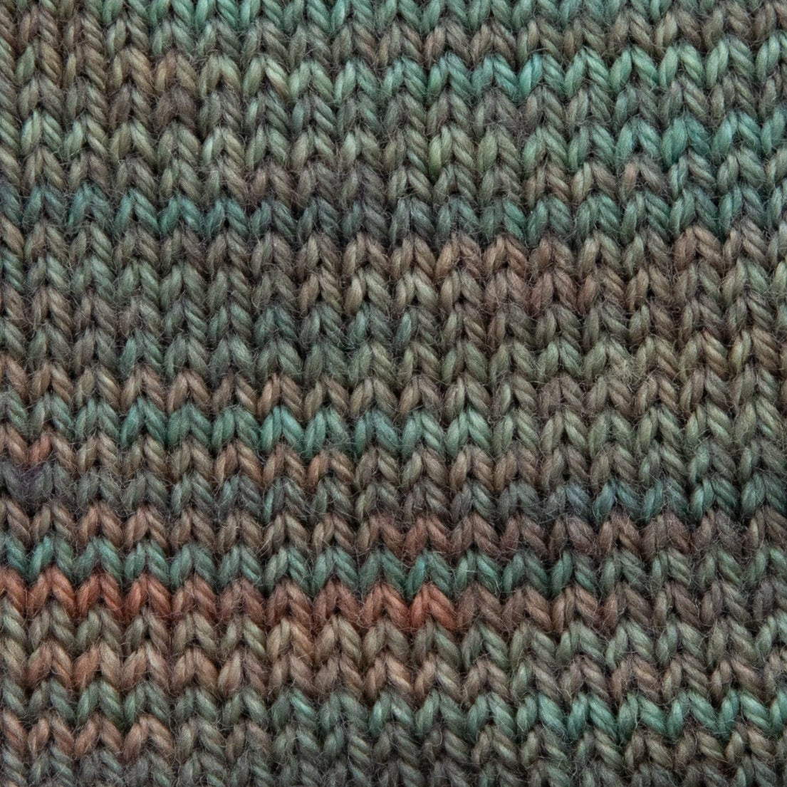 SweetGeorgia Yarns Fingering Yarns Winter Haven Mini-Skein / Tough Love Sock