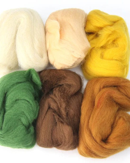 SweetGeorgia Yarns Gifts Autumn Woolbuddy / Four Season Colour Wool