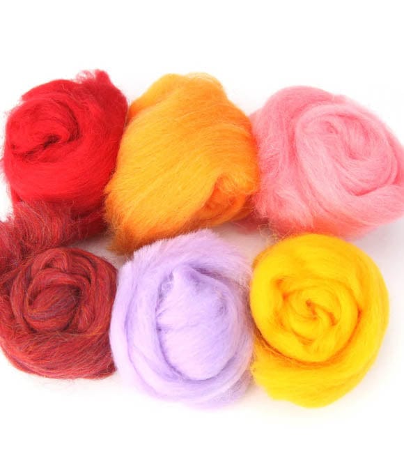 SweetGeorgia Yarns Gifts Summer Woolbuddy / Four Season Colour Wool