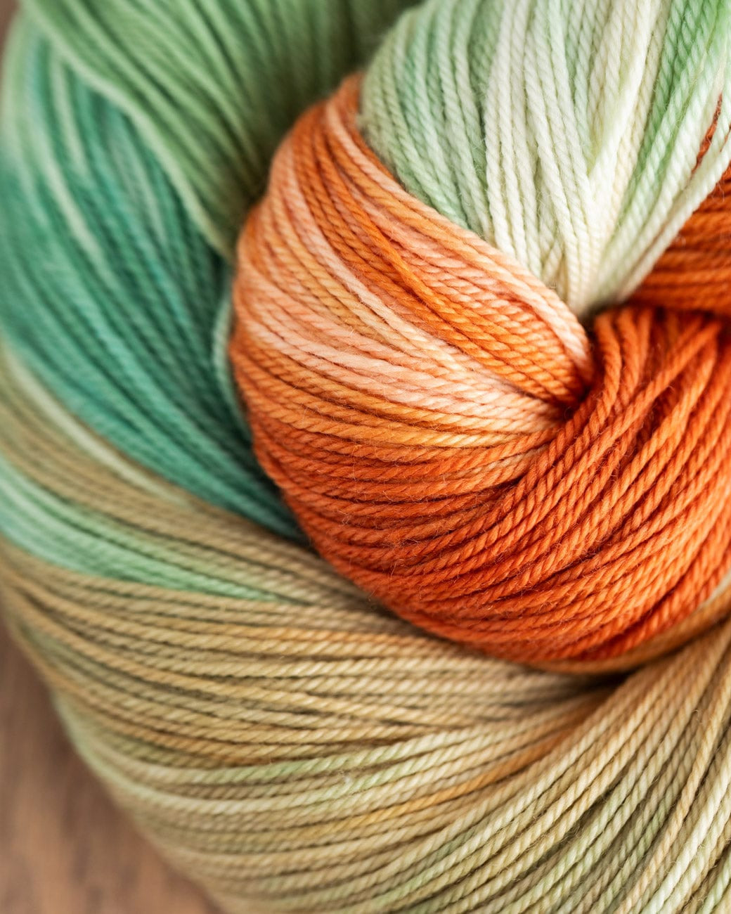 SweetGeorgia Yarns Limited & Exclusive A Day At Venice Additional Club Yarns for Members