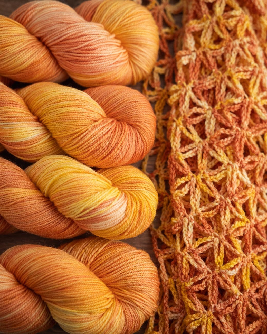 SweetGeorgia Yarns Limited & Exclusive Secret Stash / February 2026 Yarn Club