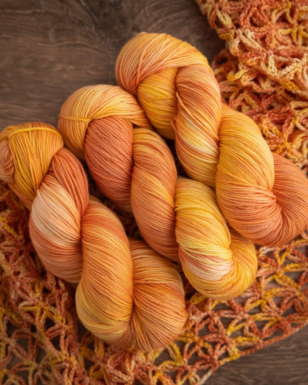 SweetGeorgia Yarns Limited & Exclusive Secret Stash / February 2026 Yarn Club