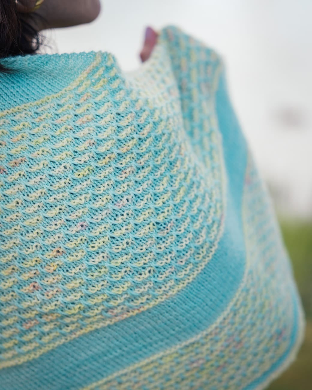 SweetGeorgia Yarns Limited & Exclusive Secret Stash / June 2026 Yarn Club