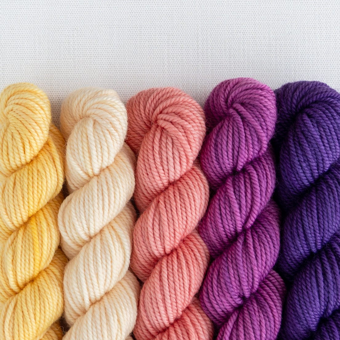 SweetGeorgia Yarns Mini-Skein Yarn Sets Cake Shop Party of Five / Superwash DK / Mini-Skein Set