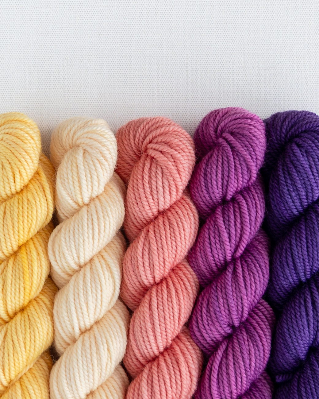SweetGeorgia Yarns Mini-Skein Yarn Sets Cake Shop Party of Five / Superwash DK / Mini-Skein Set