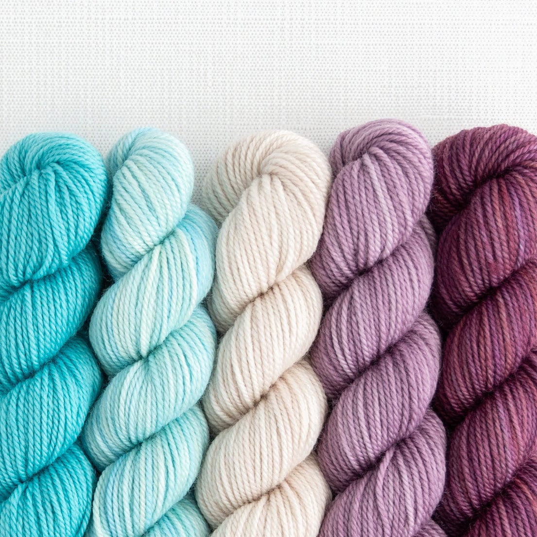 SweetGeorgia Yarns Mini-Skein Yarn Sets Frozen Blueberry Party of Five / Tough Love / Mini-Skein Set